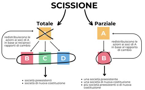 Schema che illustra la scissione della personalità e i conflitti interiori