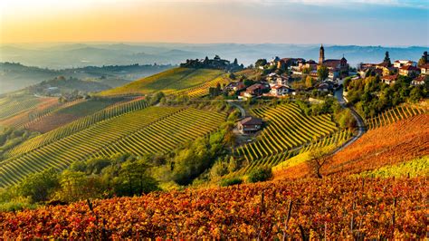 Paesaggio delle Langhe con vigneti