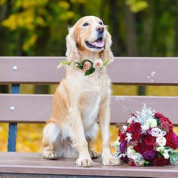 accessori eleganti per cani da matrimonio