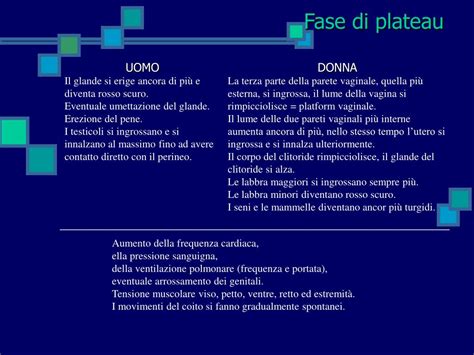 Illustrazione della fase di plateau durante l'eccitazione sessuale