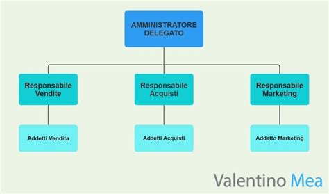 Organigramma di un'associazione no-profit