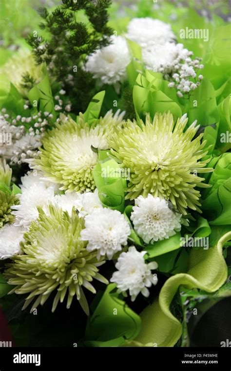 Bouquet da sposa bianco con crisantemi e verde