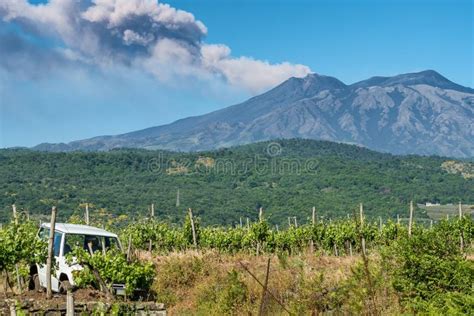 Paesaggio rurale siciliano con vigneti