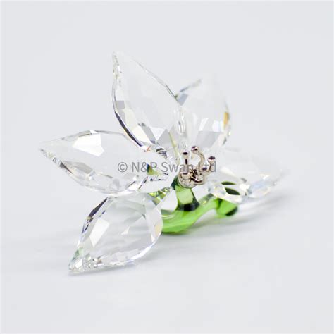 Dettaglio di orchidea in zucchero con cristalli Swarovski