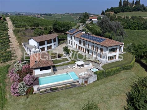 Villa Taxis con vigneti circostanti