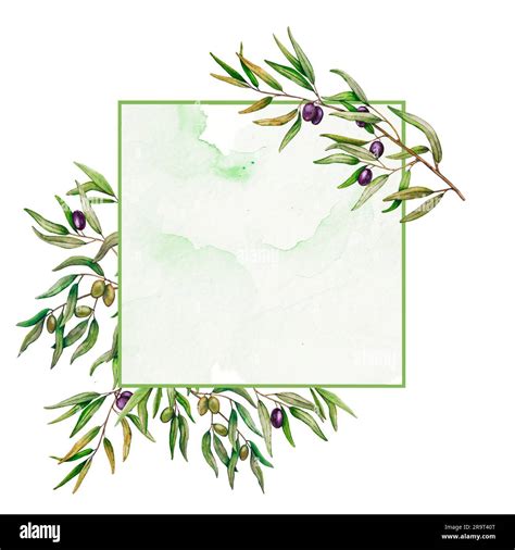 Composizione floreale con rami d'ulivo e foglie verdi