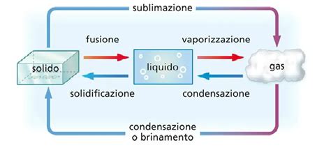 Infografica che illustra i diversi cambiamenti di stato civile (matrimonio, divorzio, vedovanza) e le relative implicazioni
