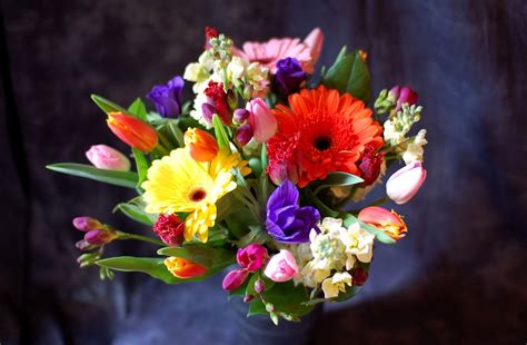 Composizione di fiori di campo