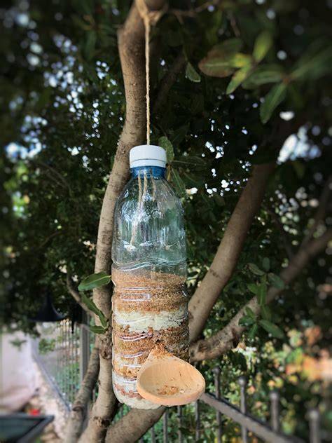 Mangiatoia per uccelli fatta con una bottiglia di plastica