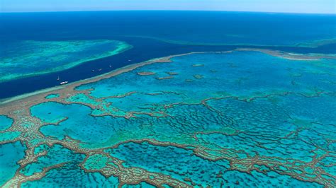 Barriera Corallina Australiana