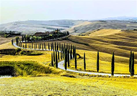 Campagna toscana con cipressi e vigneti