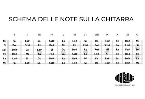 Schema sulla posizione della giarrettiera