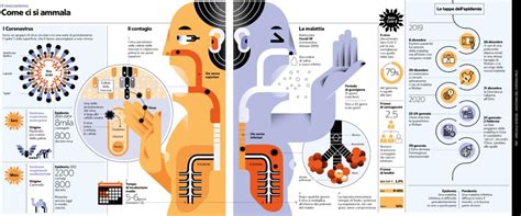 Infografica con i passaggi chiave per organizzare un viaggio di nozze