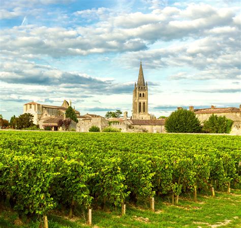 Panorama di vigneti a Bordeaux