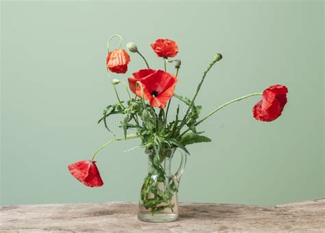 Bouquet autunnale con papaveri rossi