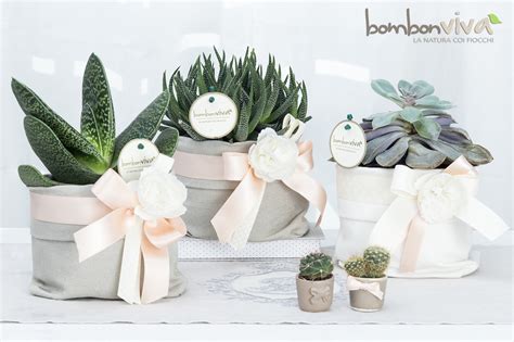 Piante grasse come bomboniere matrimonio green