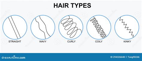 Illustrazione comparativa dei diversi tipi di cardatori WIDU® in base alla lunghezza e dimensione dei denti