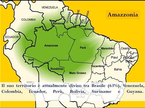 Mappa dell'Amazzonia con le aree di interesse pastorale