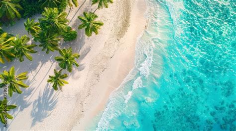 Vista panoramica di una spiaggia caraibica con palme e mare cristallino