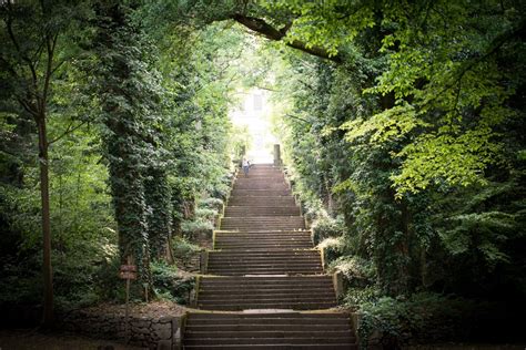 Tinaia di Parco Frassanelle
