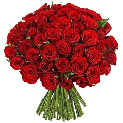 bouquet rose rosse