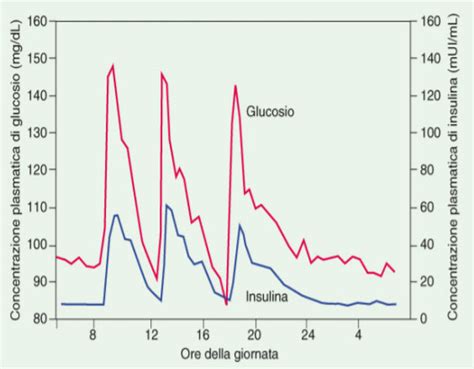 Grafico che illustra l'andamento della glicemia durante la fase di luna di miele