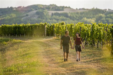 Coppia che passeggia mano nella mano tra i vigneti toscani