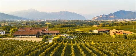 Vista panoramica della Cantina Boccadoro immersa nei vigneti della Franciacorta