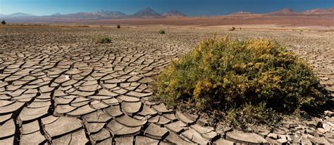 Campi aridi e spopolati durante una carestia