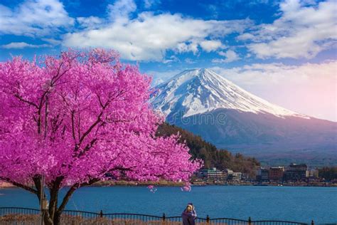 Paesaggio del Monte Fuji con ciliegi in fiore