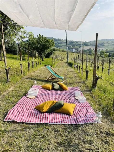 Picnic gourmet in vigna