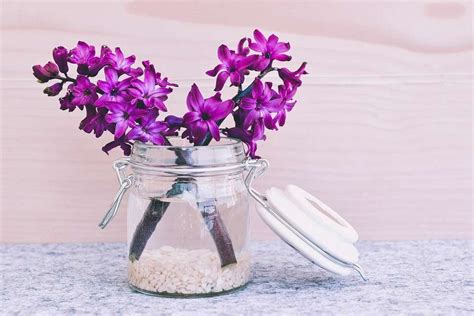 Composizioni di confettata con barattoli di vetro e fiori