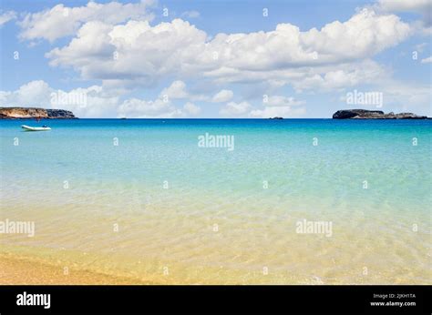 Spiaggia di Minorca con acque cristalline e vegetazione
