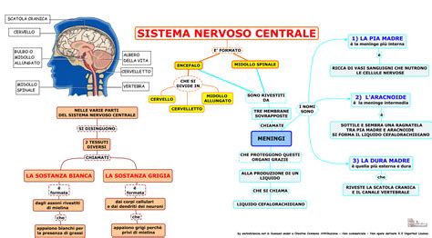 Mappa del sistema nervoso centrale