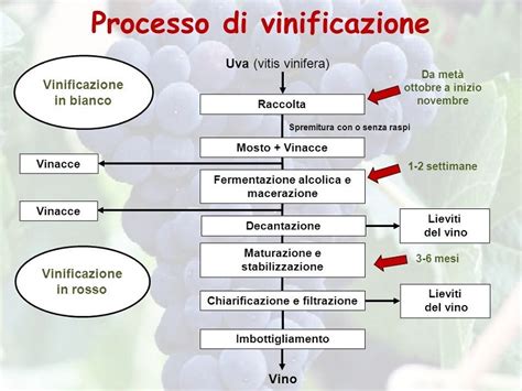 Schema simbolico del vino nel Vangelo