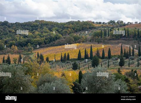Paesaggio toscano con colline e vigneti