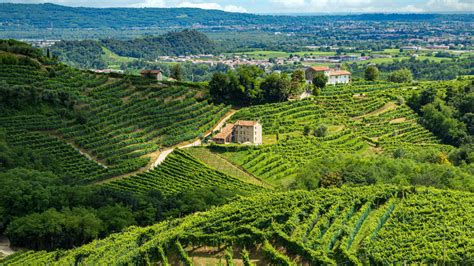 Agriturismo con vigneti e colline piacentine
