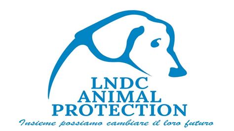 Logo di LNDC Animal Protection o Animalisti Italiani