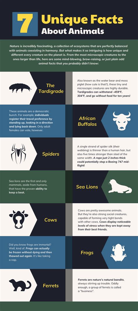 Infografica sui significati degli animali come bomboniere