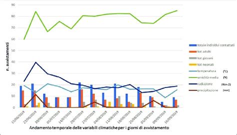 Grafico temporale delle pubblicazioni di matrimonio