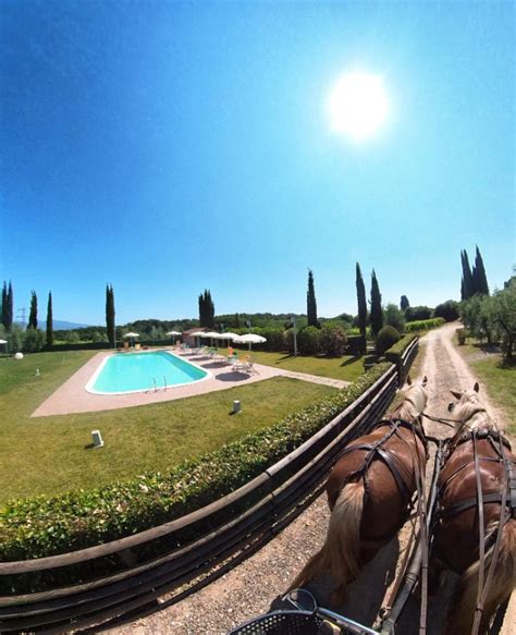 Agriturismo con piscina immerso nel verde