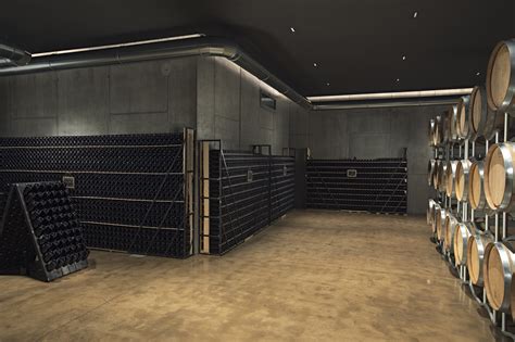 Interno della cantina con barriques di rovere francese