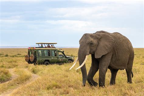 coppia in safari in Kenya