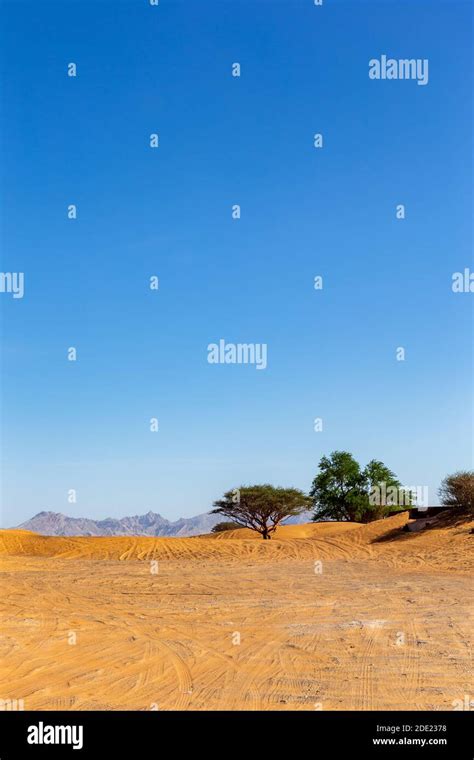 Paesaggio desertico con dune in Oman