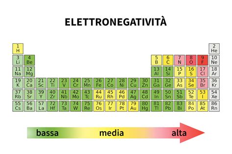 Tavola di nuzialità