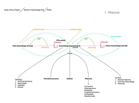 Schema che illustra la struttura rizomatica di Deleuze e Guattari