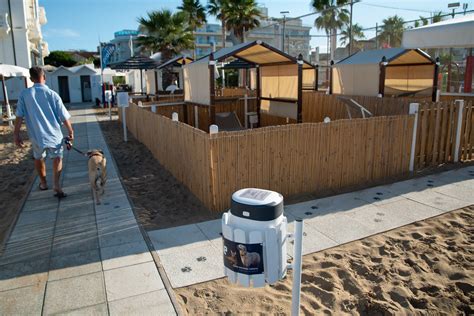 Spiaggia attrezzata per cani