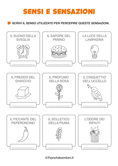 Infografica sui cinque sensi applicati all'organizzazione di un matrimonio