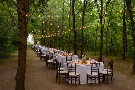 Allestimento matrimonio in un bosco con luci soffuse e elementi naturali
