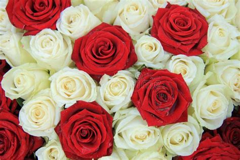 Abbinamento rose bianche e rosse